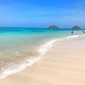 Meet your Posher, Miguel